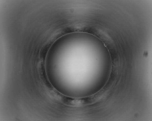 X0000093090225200709261235
