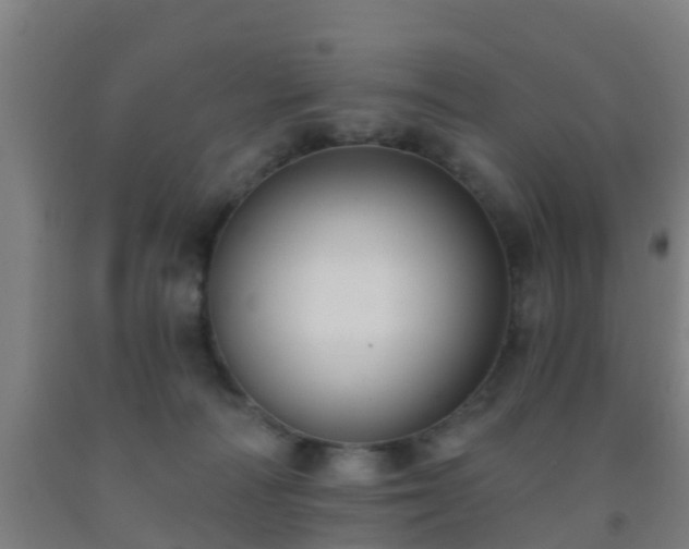 X0000093090226200709261235