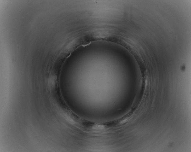 X0000093090227200709261235