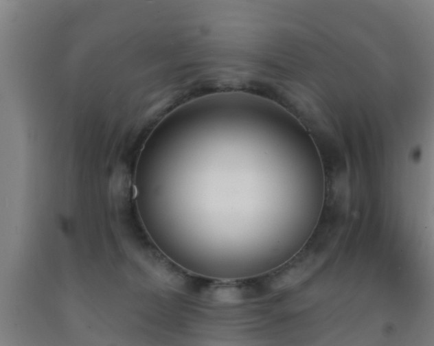 X0000093090228200709261235