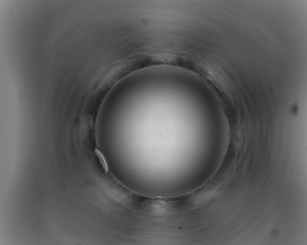 X0000093090229200709261235