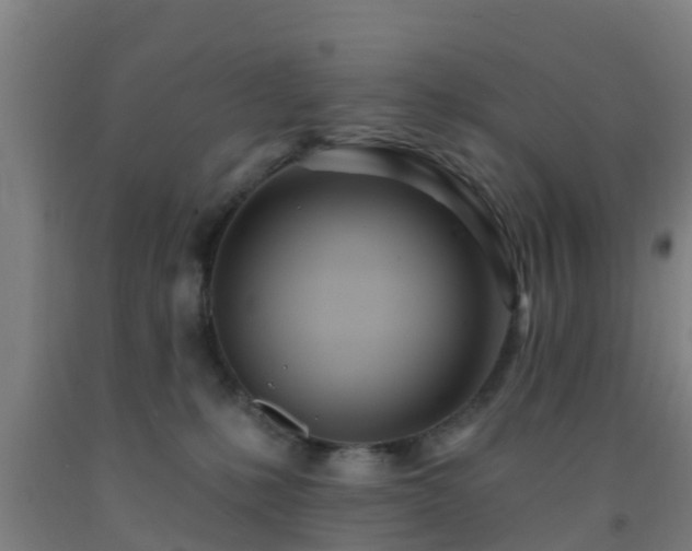 X0000093090231200709261235