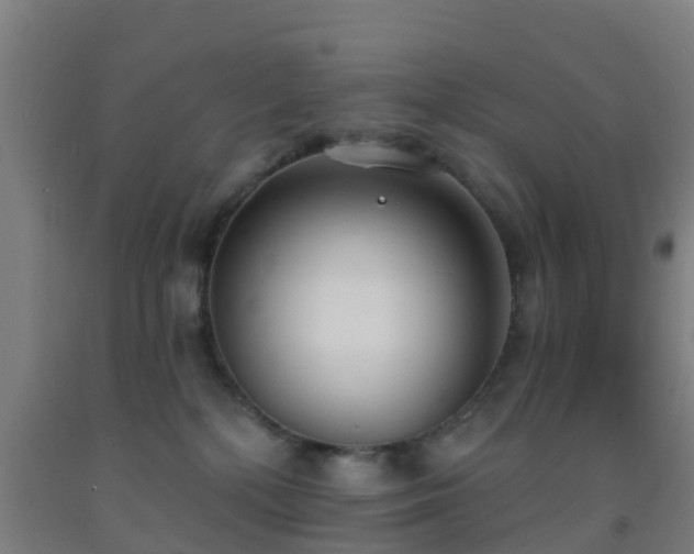 X0000093090232200709261235