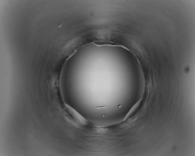 X0000093090233200709261235
