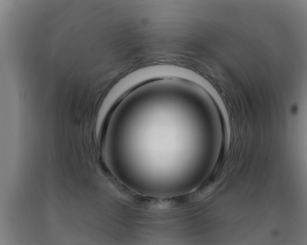 X0000093090235200709261235