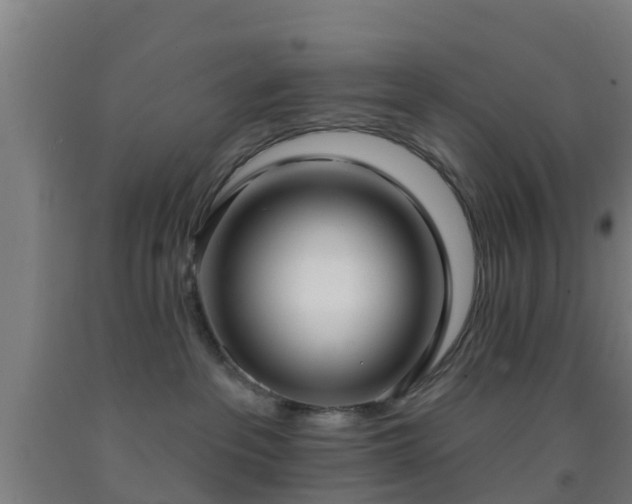 X0000093090237200709261235