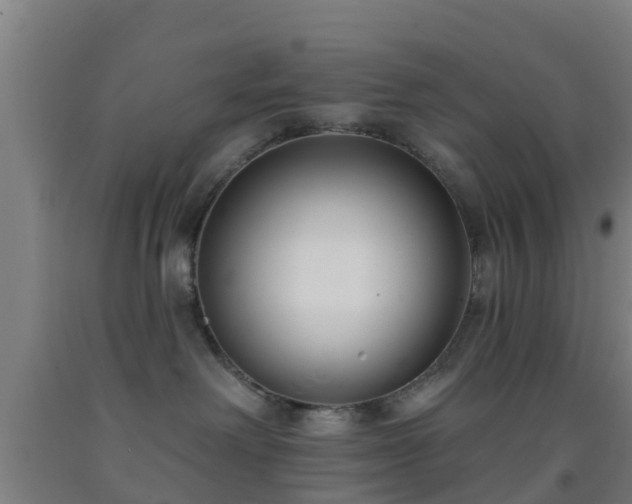 X0000093090238200709261235