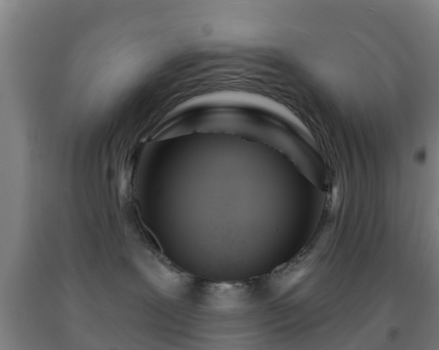 X0000093090239200709261235