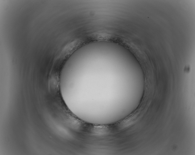 X0000093090240200709261235
