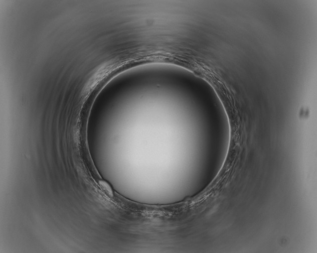X0000093090242200709261235
