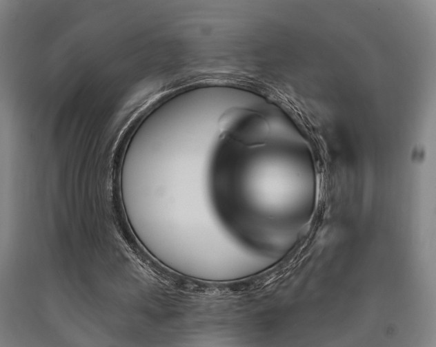 X0000093090243200709261235