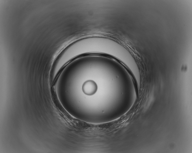 X0000093090244200709261235
