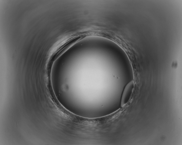 X0000093090245200709261235