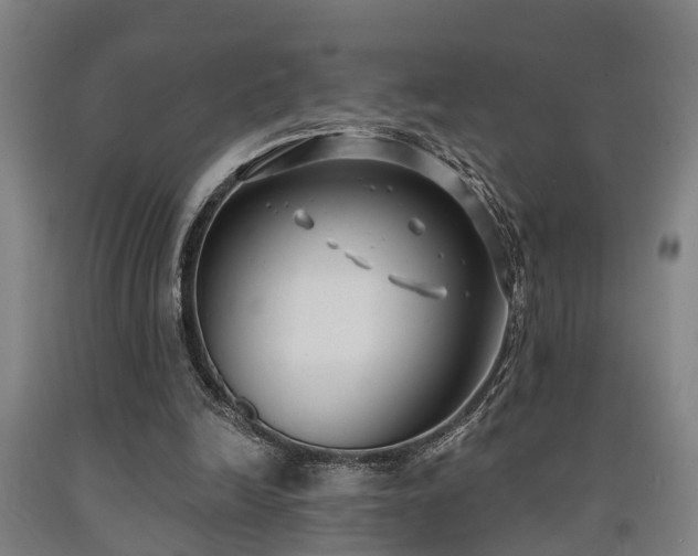 X0000093090246200709261235
