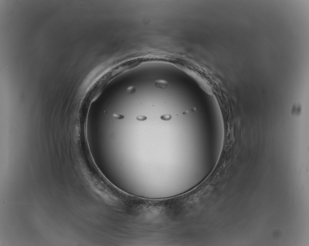 X0000093090247200709261235