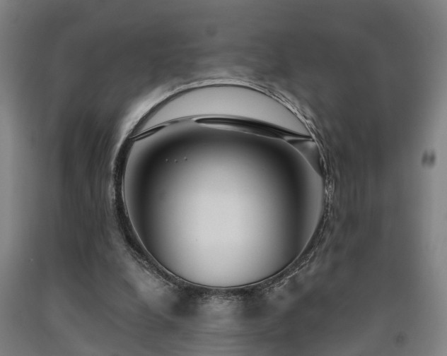 X0000093090248200709261235