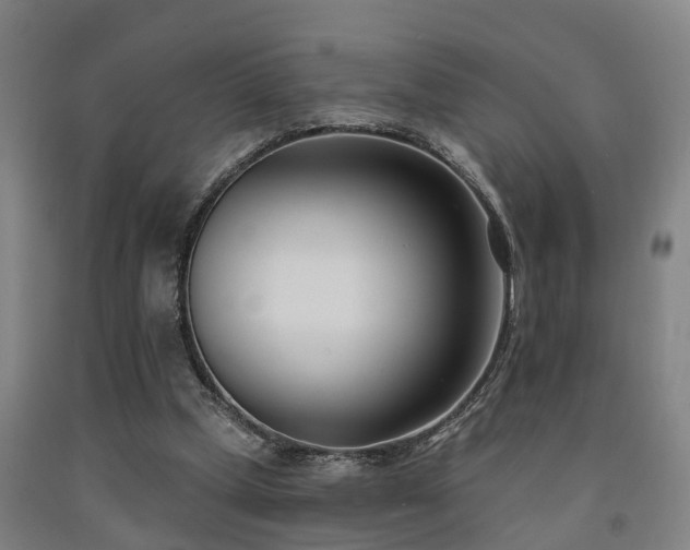 X0000093090249200709261235