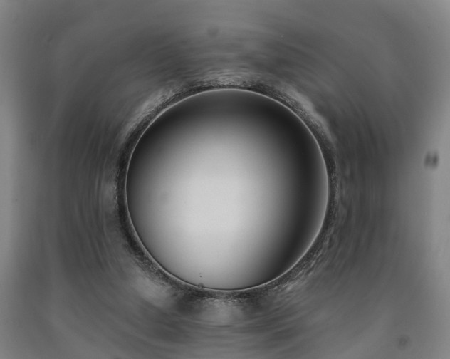 X0000093090250200709261235