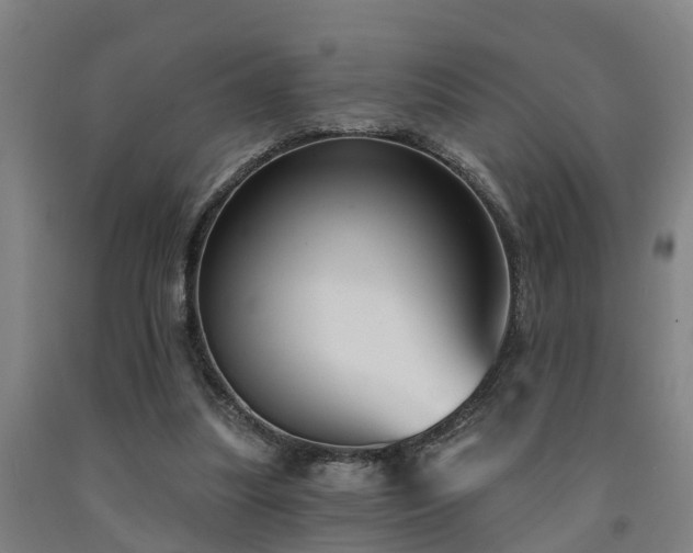 X0000093090251200709261235