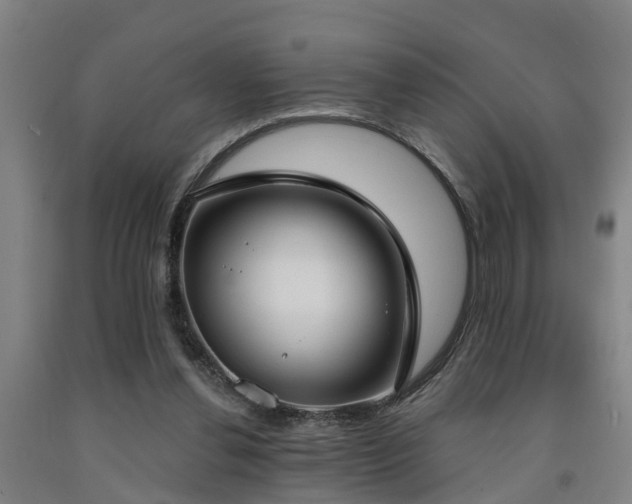 X0000093090252200709261235