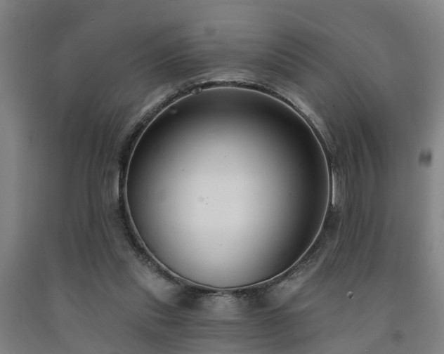 X0000093090253200709261235