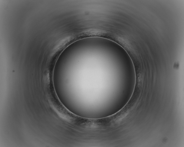 X0000093090254200709261235