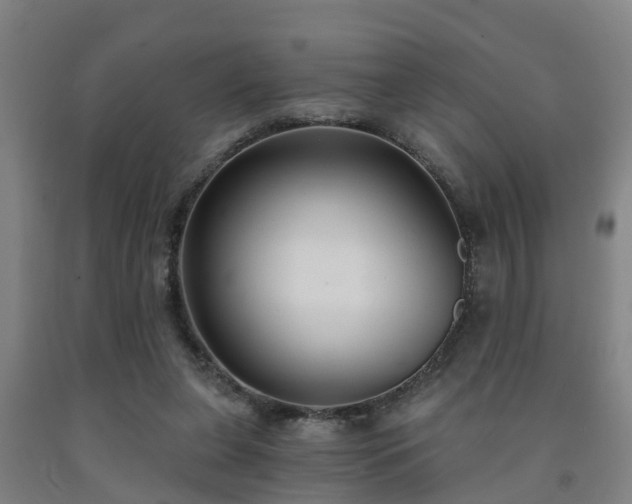 X0000093090255200709261235