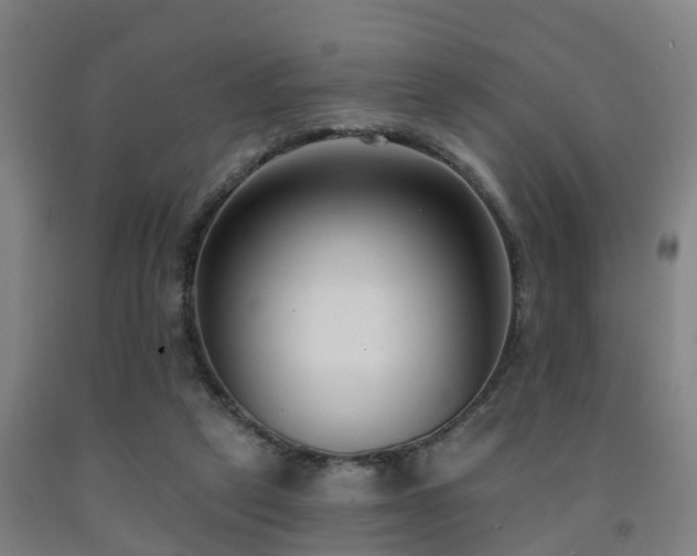 X0000093090257200709261235