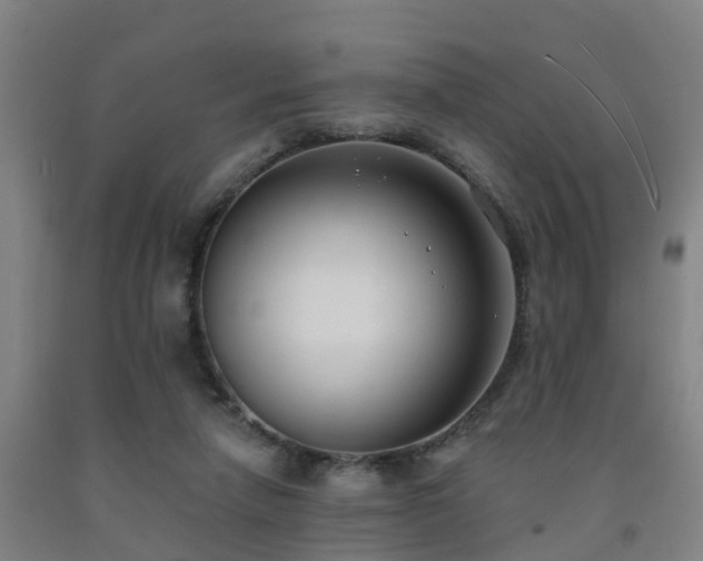 X0000093090258200709261235