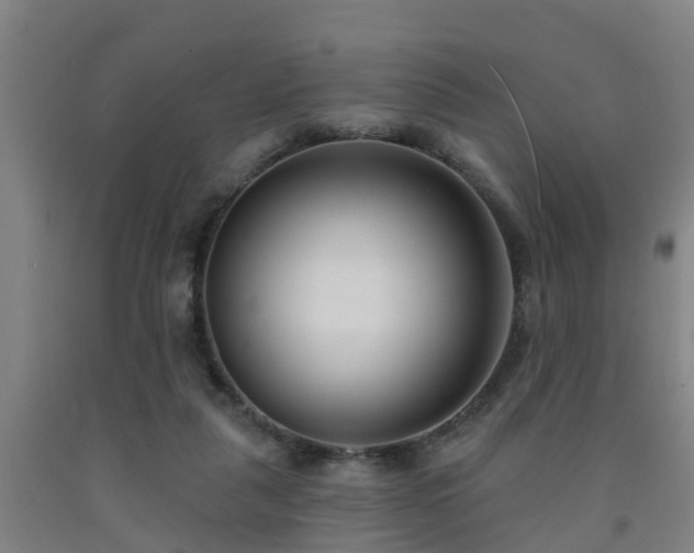 X0000093090259200709261235