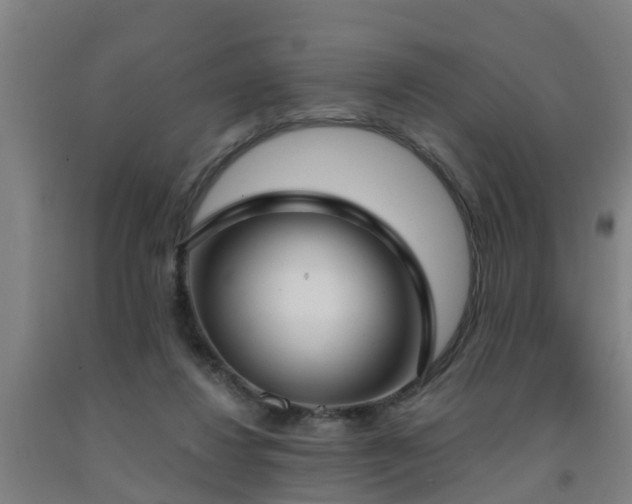 X0000093090260200709261235