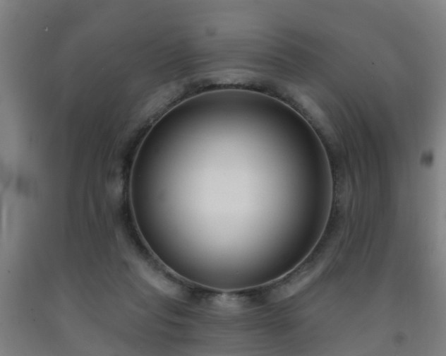 X0000093090261200709261235