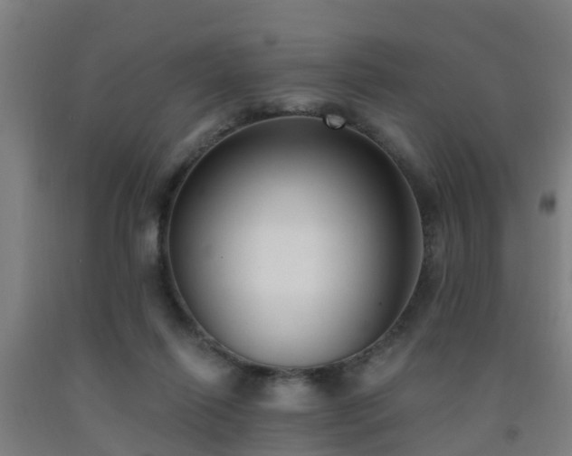 X0000093090262200709261235