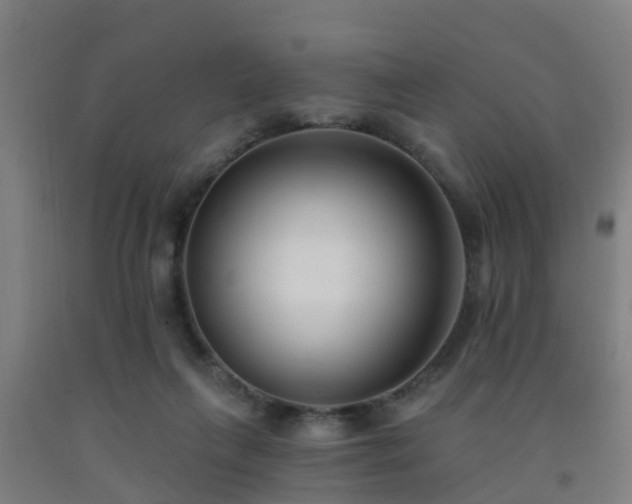 X0000093090263200709261235