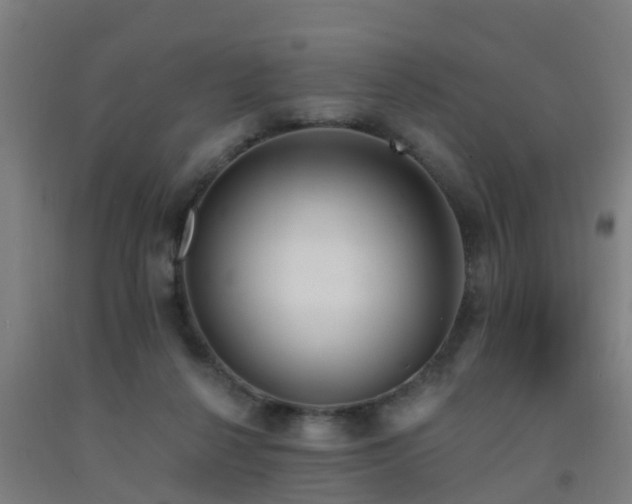 X0000093090264200709261235