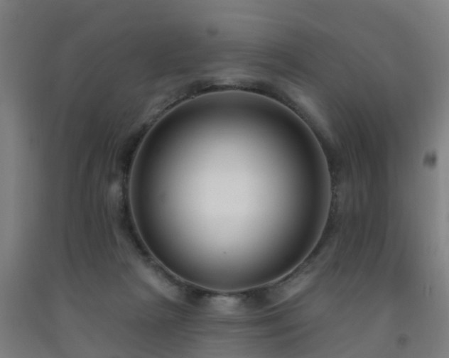 X0000093090265200709261235