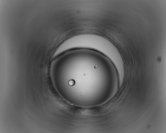 X0000093090268200709261235