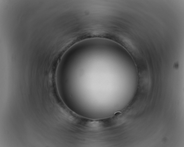X0000093090269200709261235