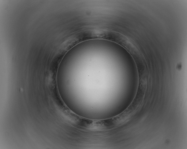 X0000093090270200709261235