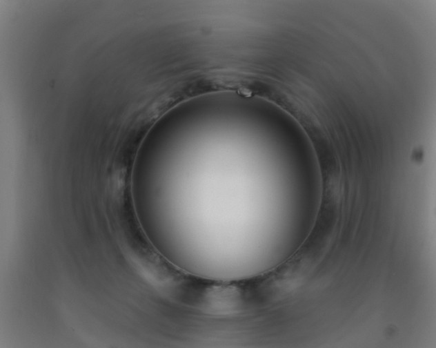X0000093090271200709261235