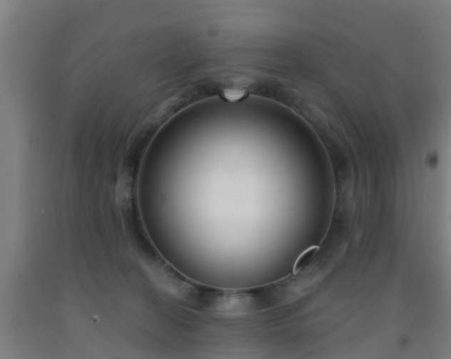 X0000093090274200709261235