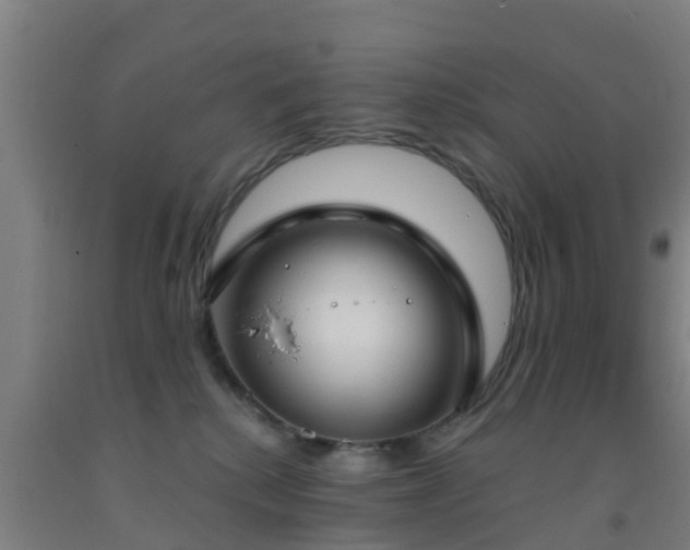 X0000093090280200709261235