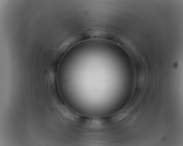 X0000093090282200709261235