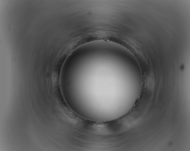 X0000093090283200709261235