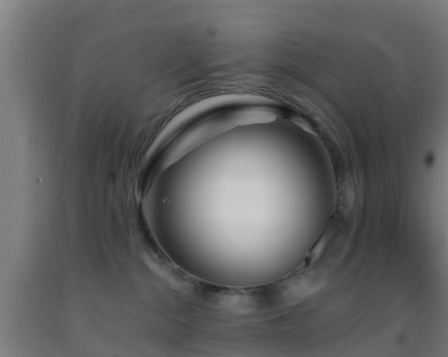 X0000093090284200709261235