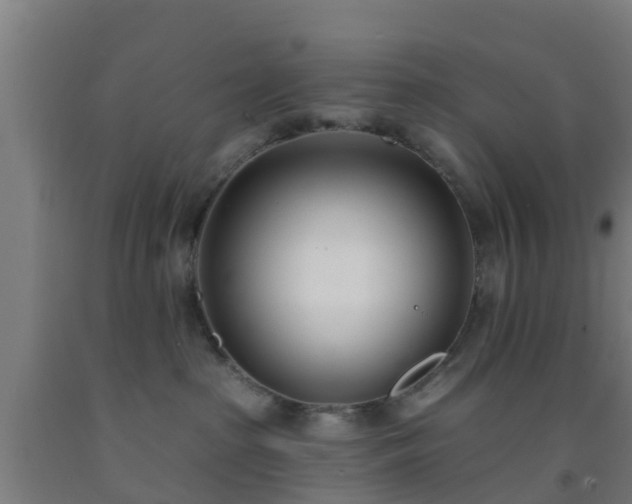 X0000093090285200709261235