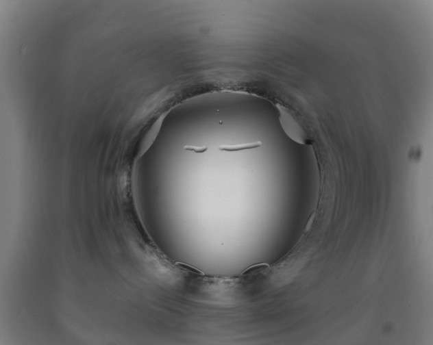 X0000093090288200709261235