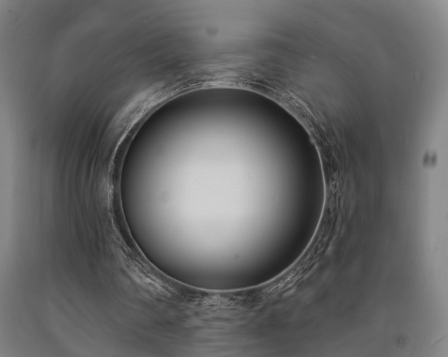 X0000093090290200709261234