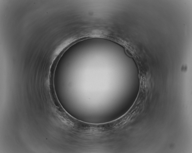 X0000093090292200709261234