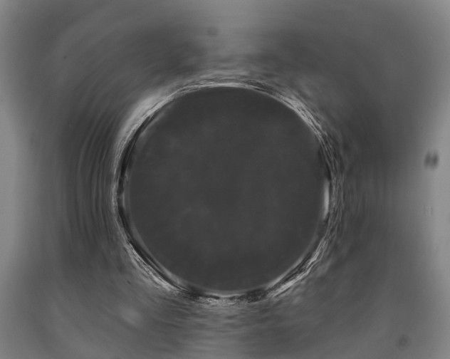 X0000093090293200709261234